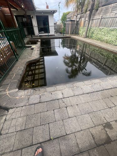 IMG_0659.jpeg IMG_0659.jpeg