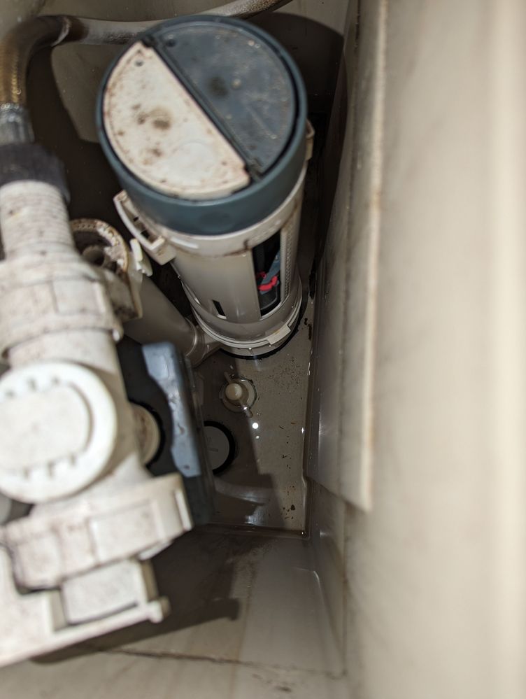 PXL_20231018_081941715.jpg PXL_20231018_081941715.jpg