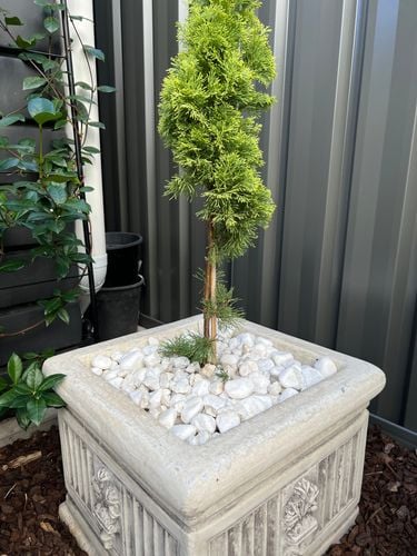 IMG_3263.jpeg IMG_3263.jpeg