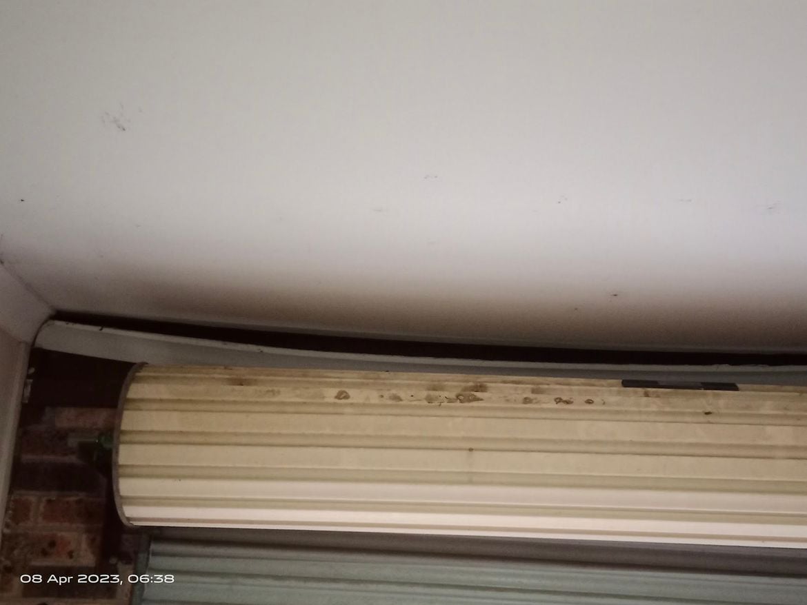 IMG_20230408_063830.jpg IMG_20230408_063830.jpg