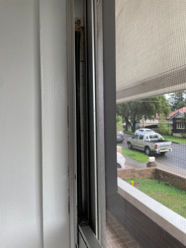 IMG_5897.jpeg IMG_5897.jpeg