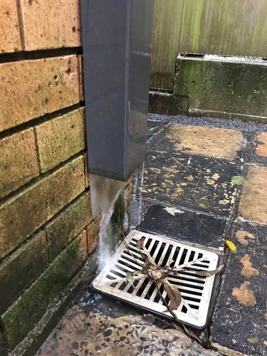 49 02-07-2022.jpg 49 02-07-2022.jpg