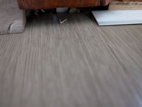 1000004166.jpg 1000004166.jpg