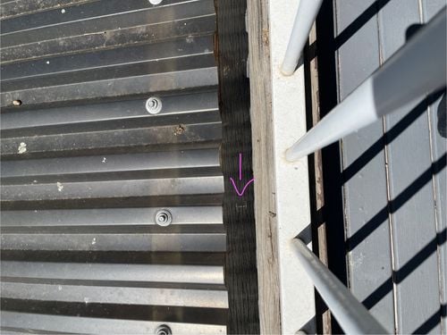 IMG_6413.jpeg IMG_6413.jpeg