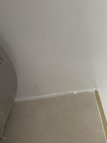 IMG_4864.jpeg IMG_4864.jpeg