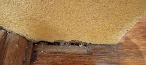 1000009505.jpg 1000009505.jpg