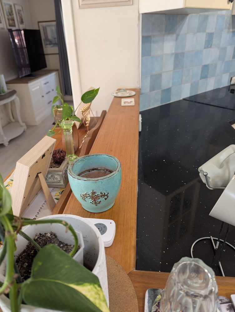 IMG_6360.jpeg IMG_6360.jpeg