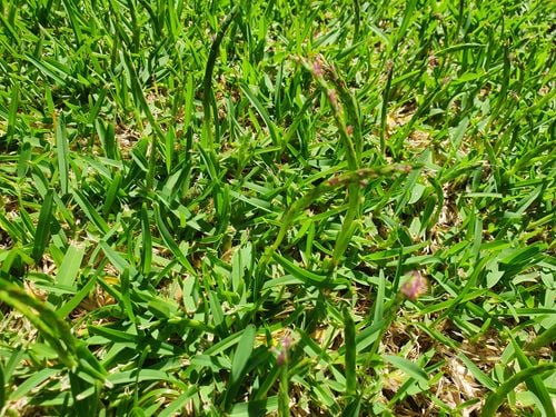 20210226_111722.jpg 20210226_111722.jpg