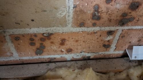 1000011156.jpg 1000011156.jpg