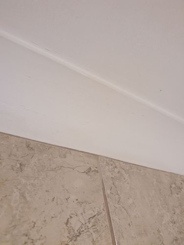 1000004970.jpg 1000004970.jpg