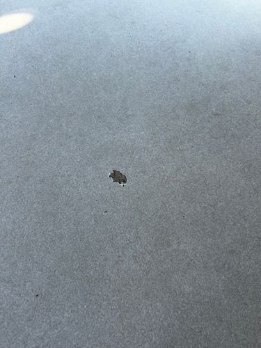 IMG_0844.jpeg IMG_0844.jpeg