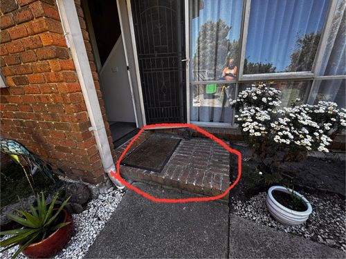 IMG_9500.jpeg IMG_9500.jpeg