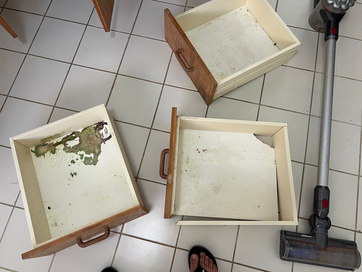 WhatsApp Image 2026-01-07 at 7.38.23 PM.jpeg WhatsApp Image 2026-01-07 at 7.38.23 PM.jpeg