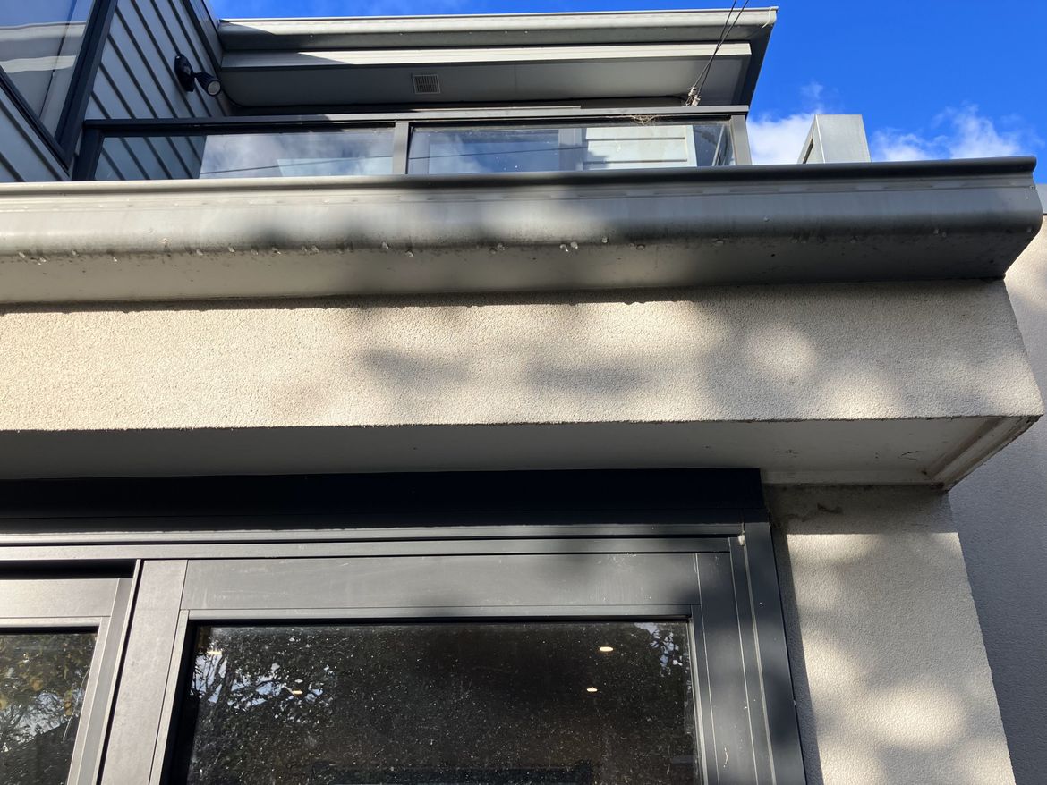 IMG_1500.jpg IMG_1500.jpg