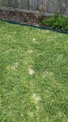 1000007980.jpg 1000007980.jpg