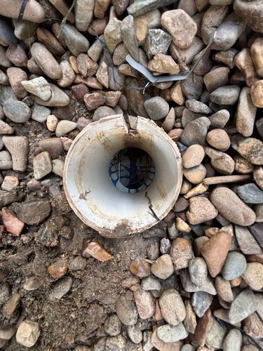 IMG_2785.jpeg IMG_2785.jpeg