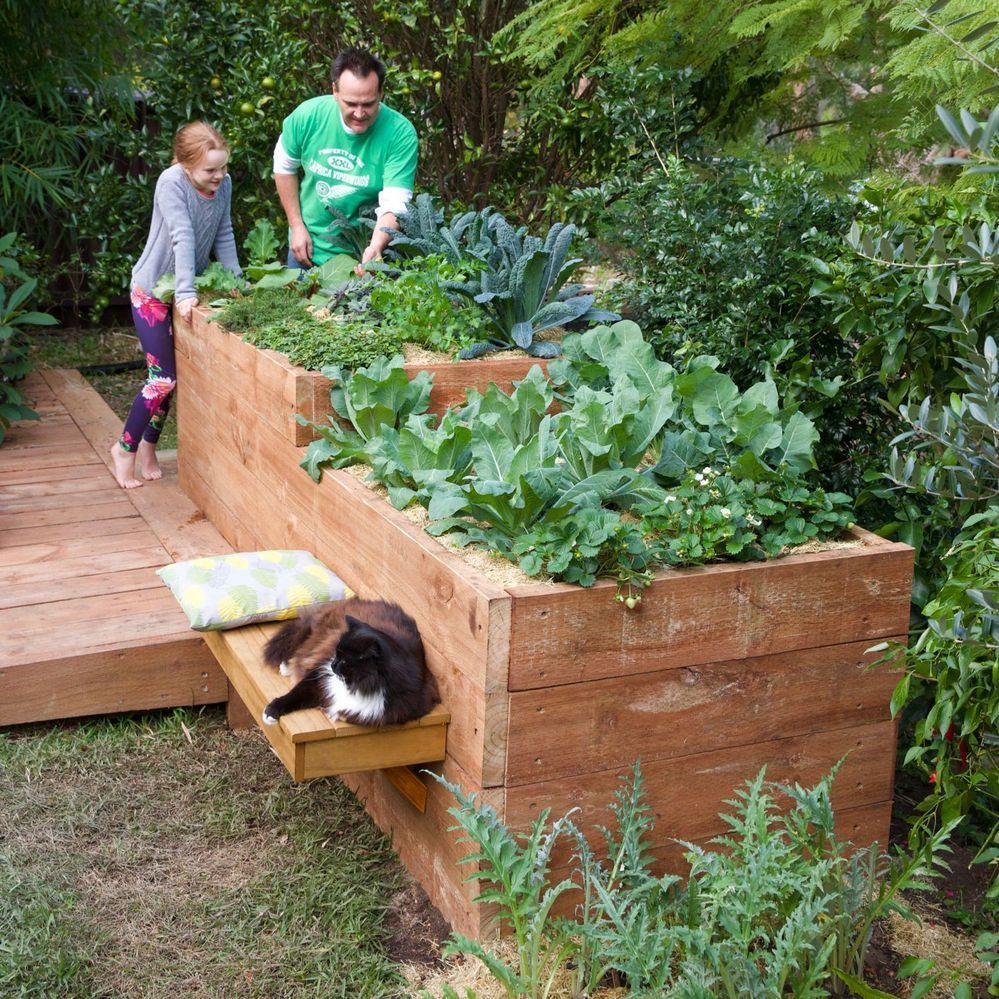 raised garden bed.jpg raised garden bed.jpg