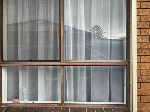 IMG_3036.jpeg IMG_3036.jpeg