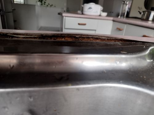 IMG_20240412_110536.jpg IMG_20240412_110536.jpg