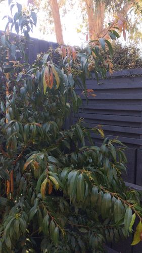 16983782958342122927158285264709.jpg 16983782958342122927158285264709.jpg