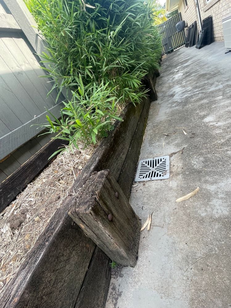 IMG_0050.jpg IMG_0050.jpg