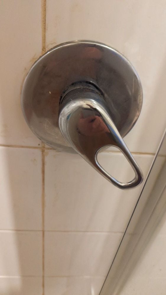 PXL_20240708_071709237_exported_2014_1720423099770.jpg PXL_20240708_071709237_exported_2014_1720423099770.jpg