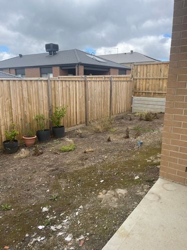 IMG_1208.jpeg IMG_1208.jpeg