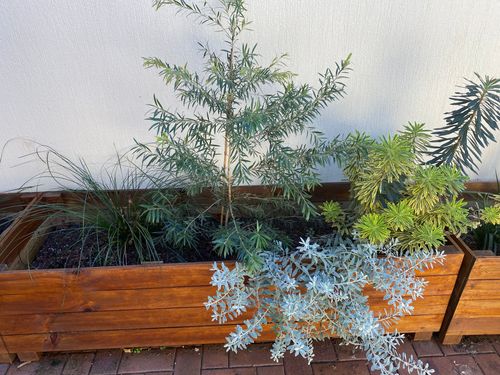 IMG-5087.jpg IMG-5087.jpg