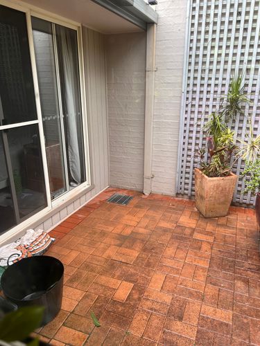 IMG_1375.jpeg IMG_1375.jpeg