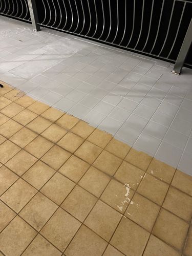 IMG_7933.jpeg IMG_7933.jpeg