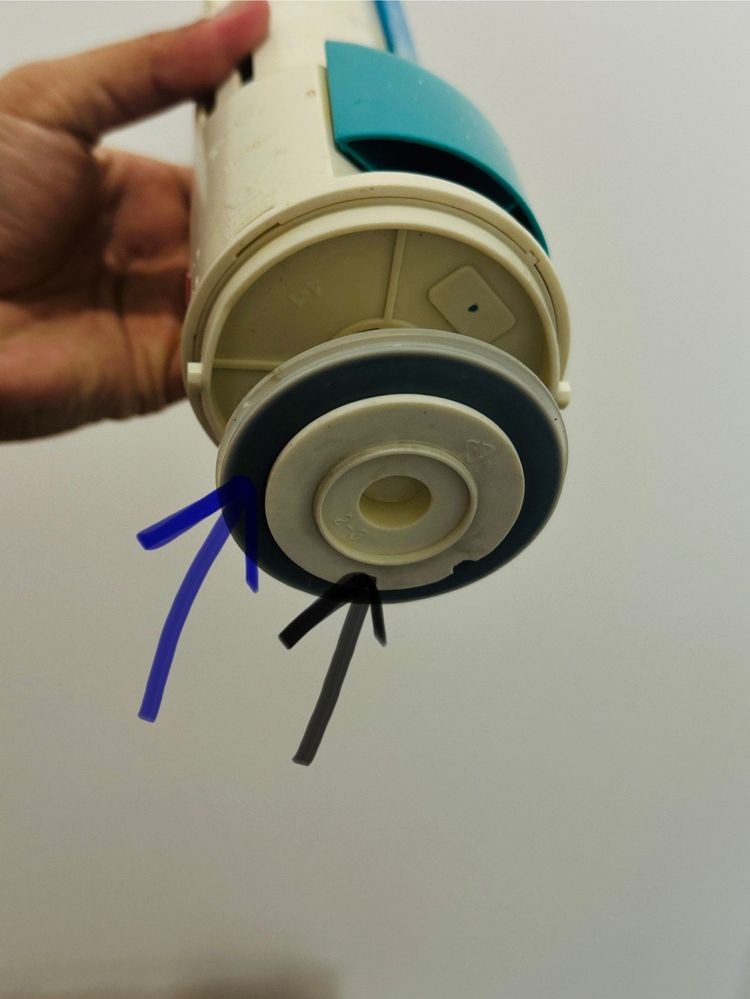 IMG_8489.jpeg IMG_8489.jpeg