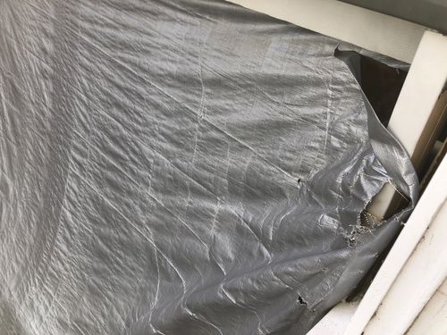 ADBADA1B-1B58-4FCA-9F32-561277815B81.jpeg ADBADA1B-1B58-4FCA-9F32-561277815B81.jpeg