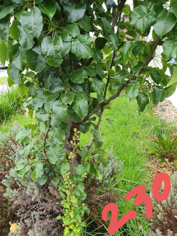 WhatsApp Image 2021-06-09 at 12.38.40 PM.jpeg WhatsApp Image 2021-06-09 at 12.38.40 PM.jpeg