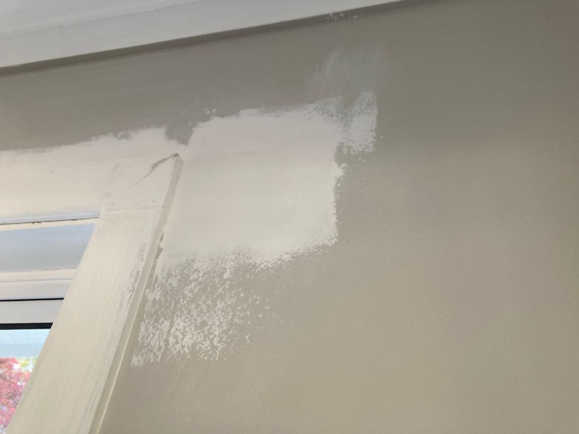 IMG_0243.jpeg IMG_0243.jpeg