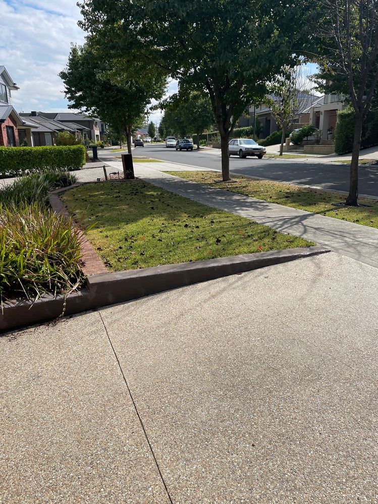 image5.jpeg image5.jpeg