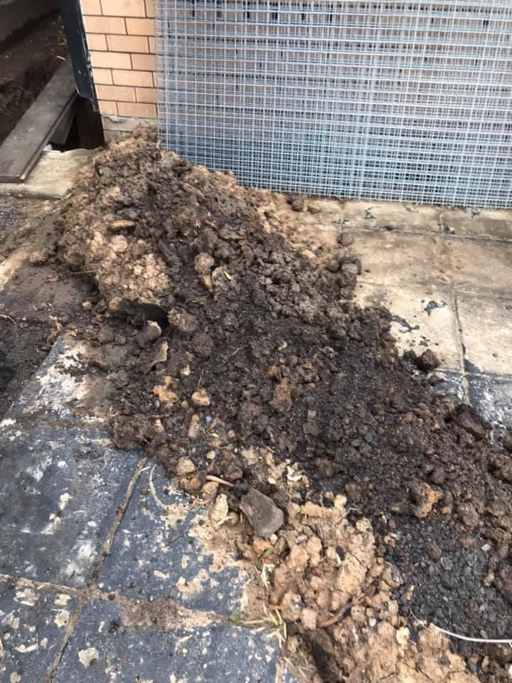 09 28-07-2021.jpg 09 28-07-2021.jpg