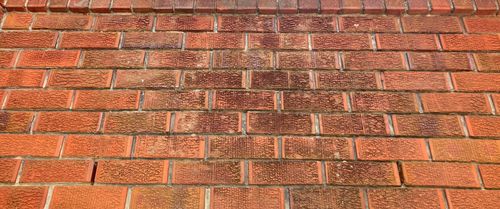 IMG_7829.jpeg IMG_7829.jpeg