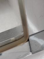 IMG_7753.jpeg IMG_7753.jpeg