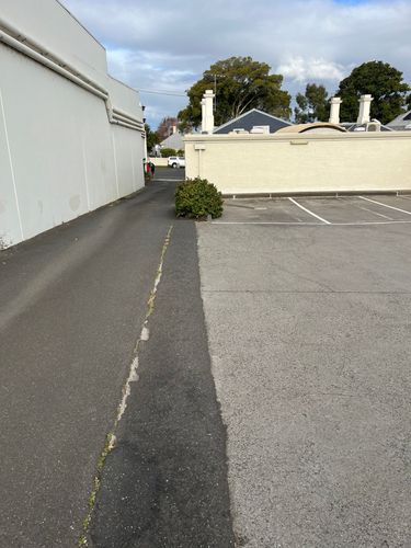 IMG_1684.jpeg IMG_1684.jpeg