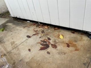 849E7FFE-CD1F-4166-9AE3-2A1CF64E8917.jpeg 849E7FFE-CD1F-4166-9AE3-2A1CF64E8917.jpeg