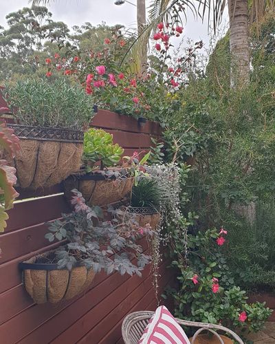 IMG_20210610_110559_887.jpg IMG_20210610_110559_887.jpg