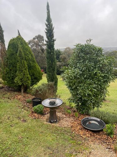 EB4129BB-0176-45BA-981A-2E3074B8B1D9.jpeg EB4129BB-0176-45BA-981A-2E3074B8B1D9.jpeg