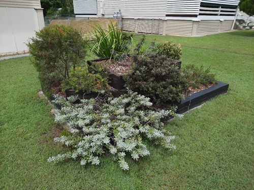 20241127_135116.jpg 20241127_135116.jpg