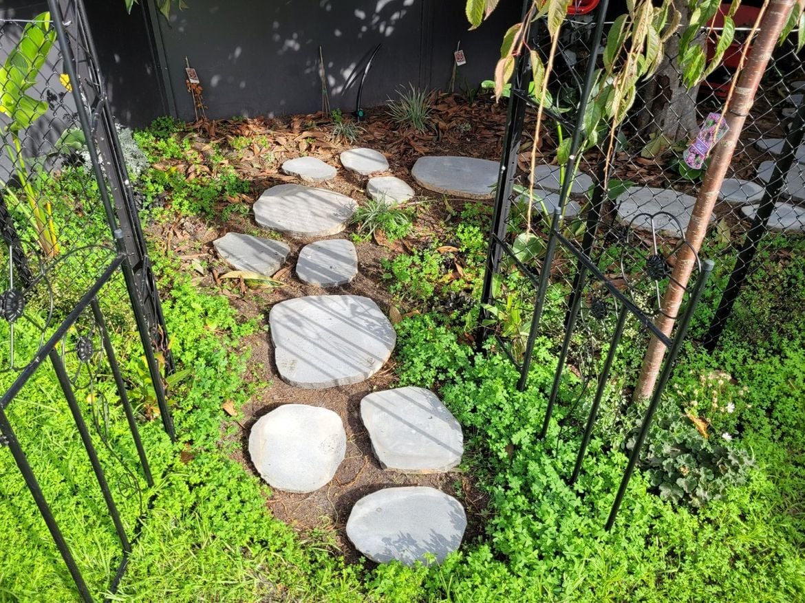 20220528_133024.jpg 20220528_133024.jpg