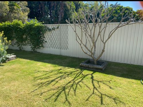 A582B923-9D75-4E1E-8437-4003820304E7.jpeg A582B923-9D75-4E1E-8437-4003820304E7.jpeg