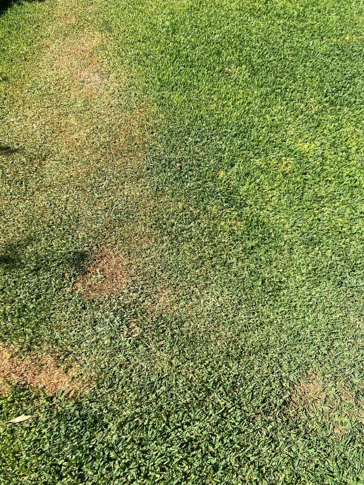 IMG_9827.JPG IMG_9827.JPG