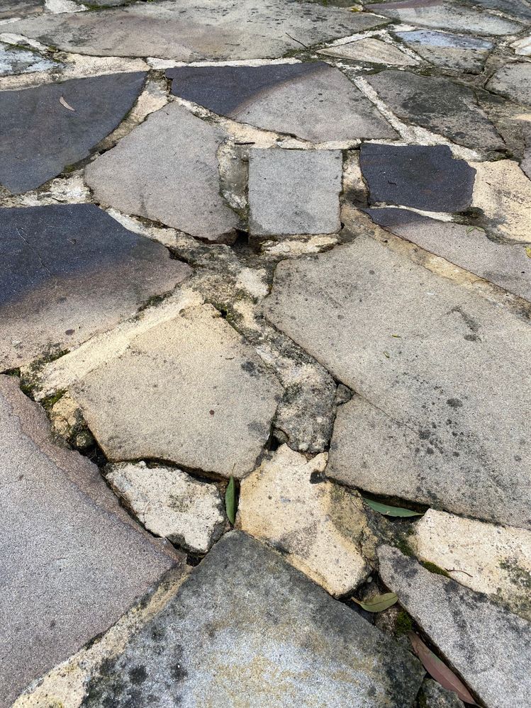 IMG_0846.jpg IMG_0846.jpg