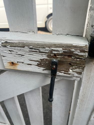 IMG_9993.jpeg IMG_9993.jpeg