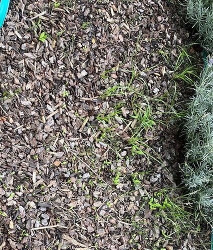 FF1865F6-B176-43B2-8473-12747CA0327D.jpeg FF1865F6-B176-43B2-8473-12747CA0327D.jpeg