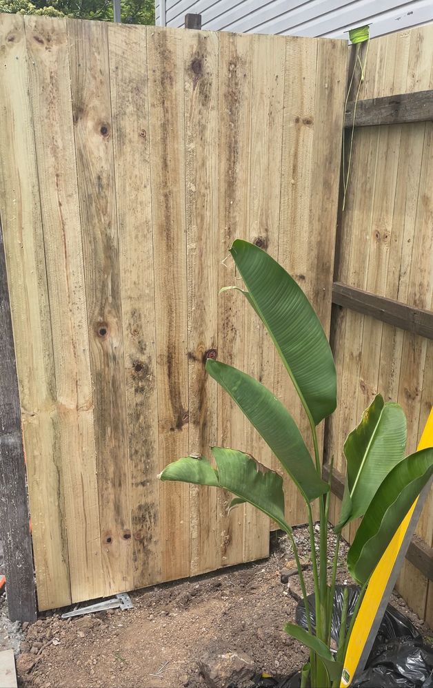 IMG_4401.jpg IMG_4401.jpg